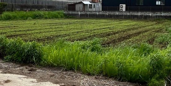 菊池市赤星