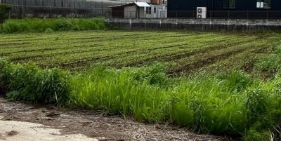 菊池市赤星