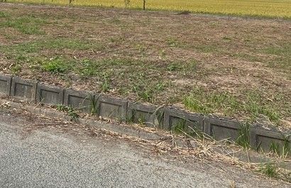 八代郡氷川町新田