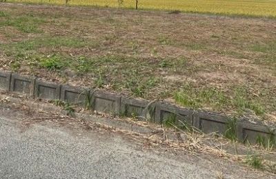 八代郡氷川町新田